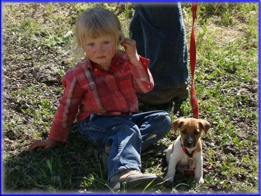 Hank - Jack Russell Terrier puppy with Haylee